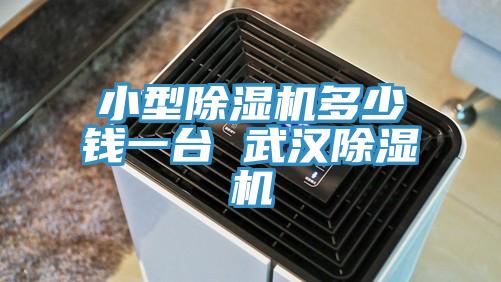 小型蘑菇视频网站多少錢一台 武漢蘑菇视频网站