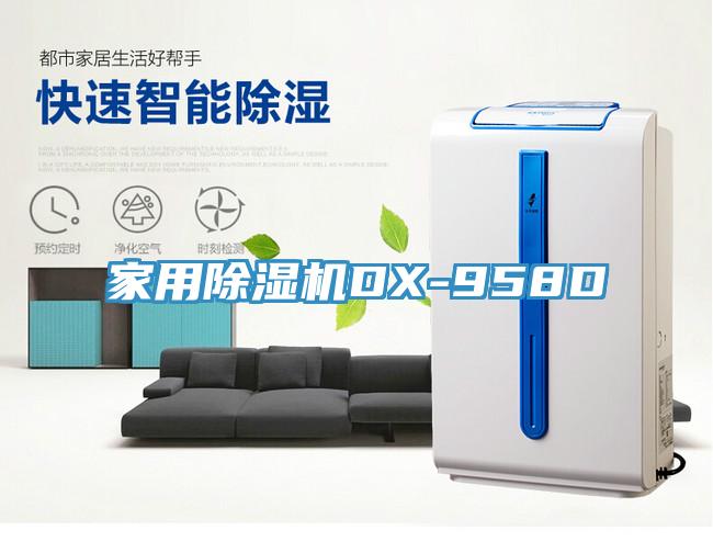 家用蘑菇视频网站DX-958D