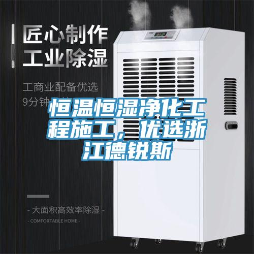 恒溫恒濕淨化工程施工，優選浙江德銳斯