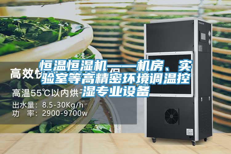 恒溫恒濕機——機房、實驗室等高精密環境調溫控濕專業設備