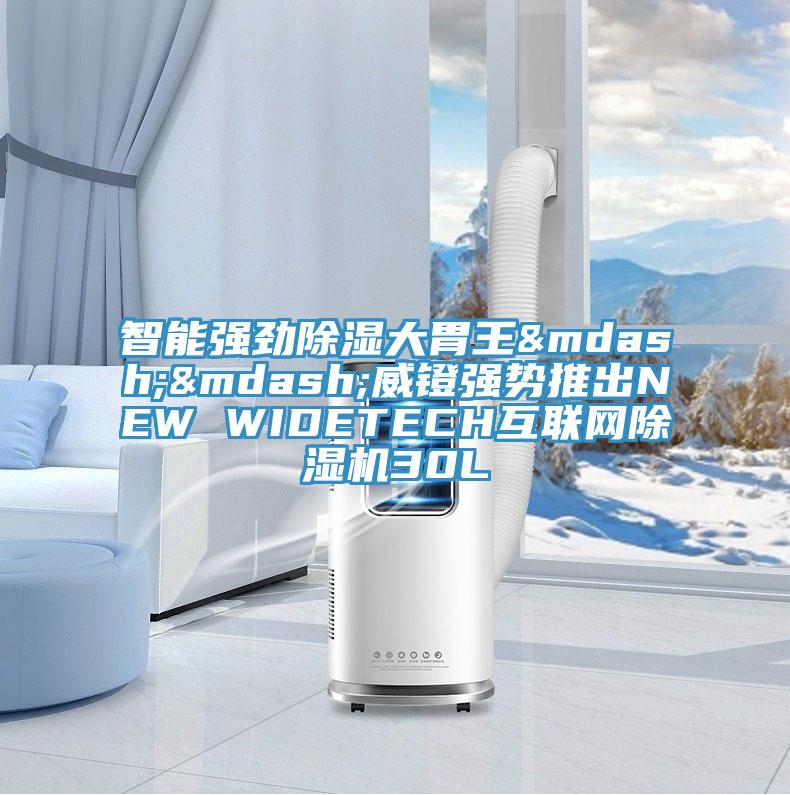 智能強勁除濕大胃王——威鐙強勢推出NEW WIDETECH互聯網蘑菇视频网站30L