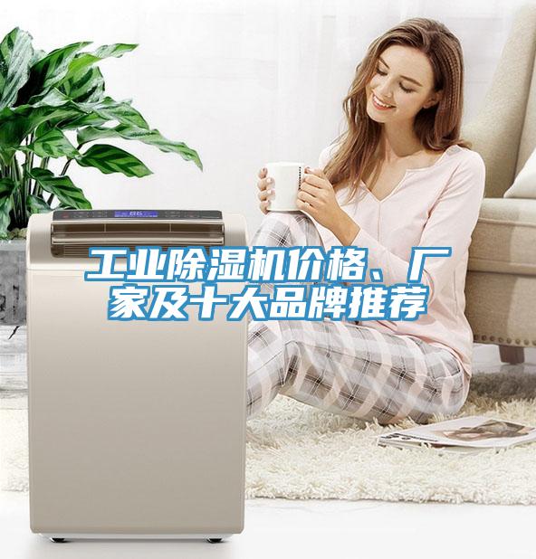 工業蘑菇视频网站價格、廠家及十大品牌推薦