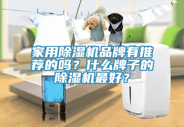 家用蘑菇视频网站品牌有推薦的嗎？什麽牌子的蘑菇视频网站最好？