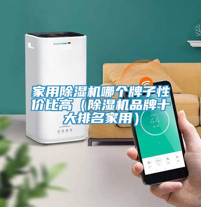 家用蘑菇视频网站哪個牌子性價比高（蘑菇视频网站品牌十大排名家用）