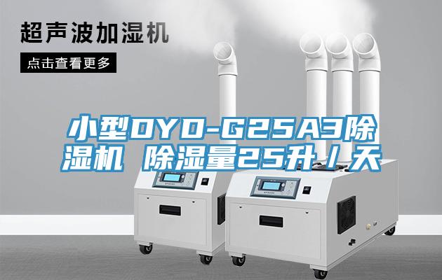 小型DYD-G25A3蘑菇视频网站 除濕量25升／天