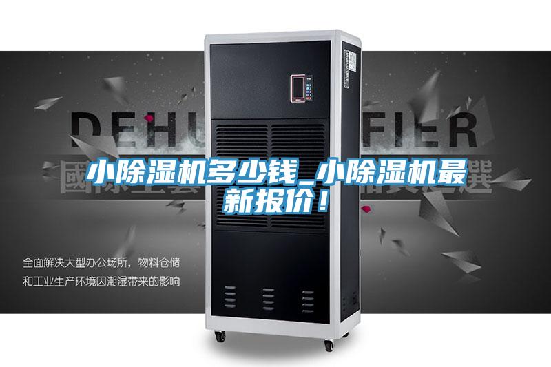 小蘑菇视频网站多少錢_小蘑菇视频网站最新報價！
