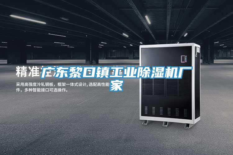 廣東黎口鎮工業蘑菇视频网站廠家