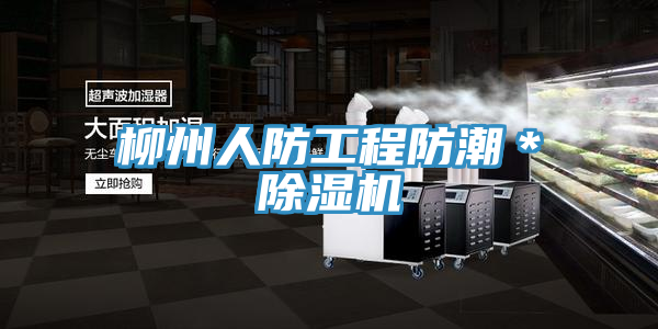 柳州人防工程防潮＊蘑菇视频网站