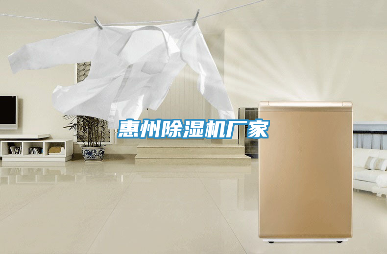 惠州蘑菇视频网站廠家