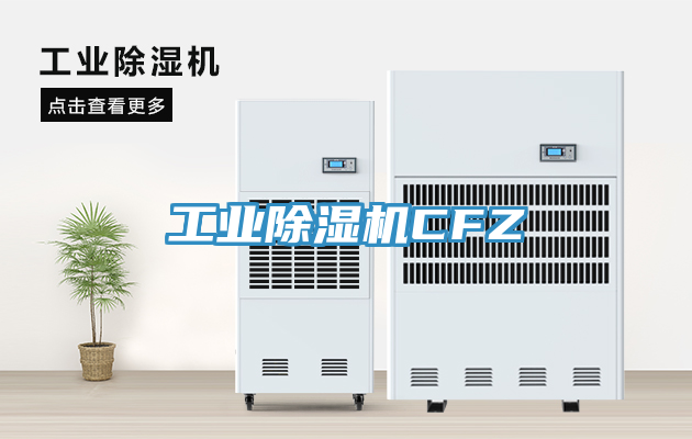 工業蘑菇视频网站CFZ