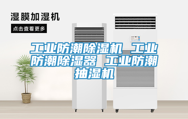工業防潮蘑菇视频网站 工業防潮除濕器 工業防潮抽濕機