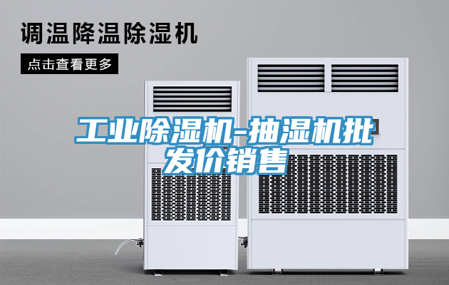工業蘑菇视频网站-抽濕機批發價銷售