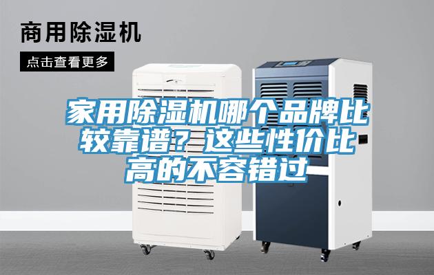 家用蘑菇视频网站哪個品牌比較靠譜？這些性價比高的不容錯過