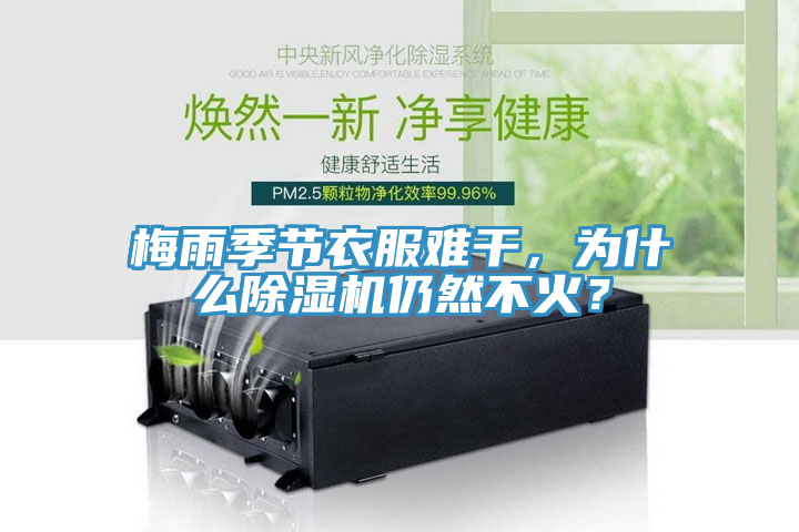梅雨季節衣服難幹，為什麽蘑菇视频网站仍然不火？