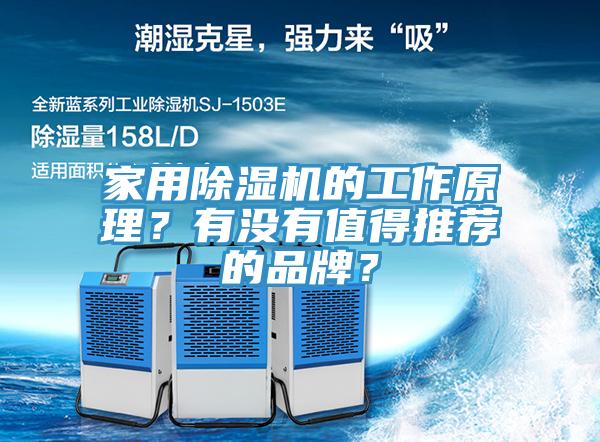 家用蘑菇视频网站的工作原理？有沒有值得推薦的品牌？