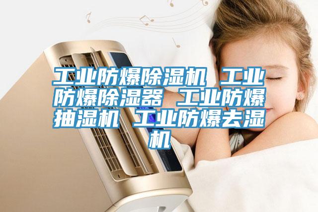 工業防爆蘑菇视频网站 工業防爆除濕器 工業防爆抽濕機 工業防爆去濕機