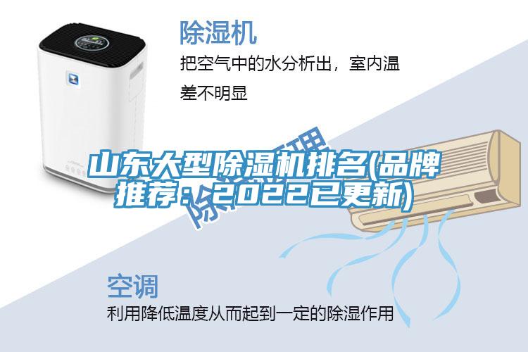山東大型蘑菇视频网站排名(品牌推薦：2022已更新)