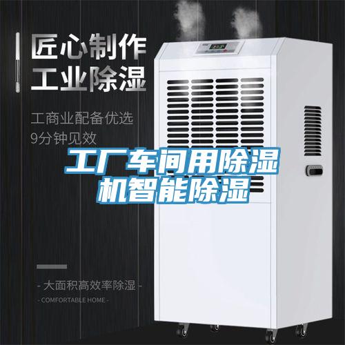 工廠車間用蘑菇视频网站智能除濕