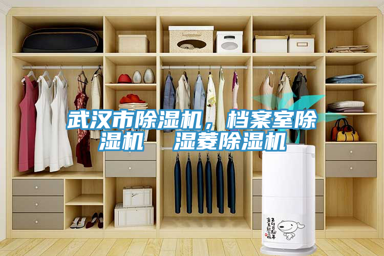 武漢市蘑菇视频网站，檔案室蘑菇视频网站  濕菱蘑菇视频网站