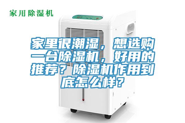 家裏很潮濕，想選購一台蘑菇视频网站，好用的推薦？蘑菇视频网站作用到底怎麽樣？