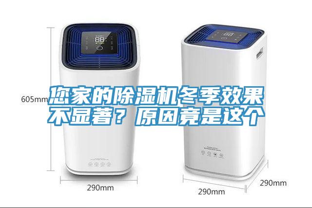 您家的蘑菇视频网站冬季效果不顯著？原因竟是這個
