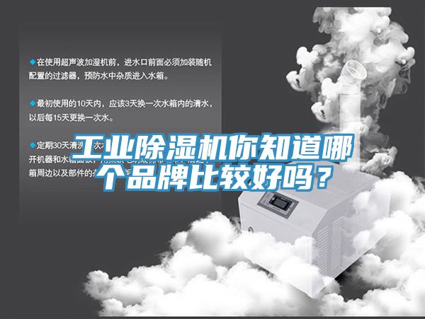 工業蘑菇视频网站你知道哪個品牌比較好嗎？
