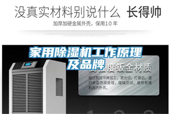 家用蘑菇视频网站工作原理及品牌