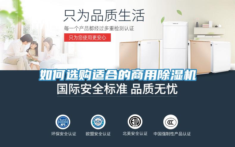 如何選購適合的商用蘑菇视频网站