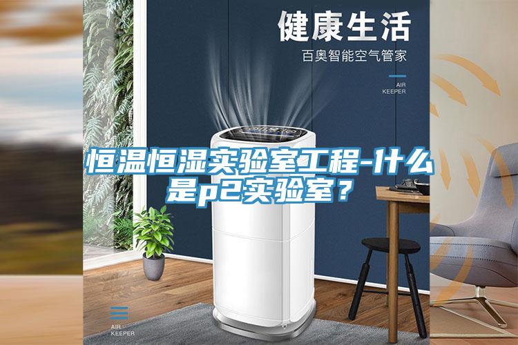 恒溫恒濕實驗室工程-什麽是p2實驗室？