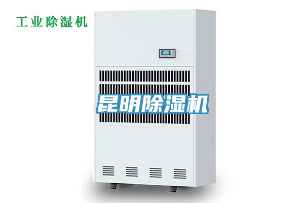 昆明蘑菇视频网站
