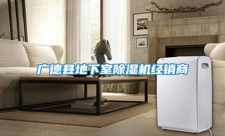 廣德縣地下室蘑菇视频网站經銷商