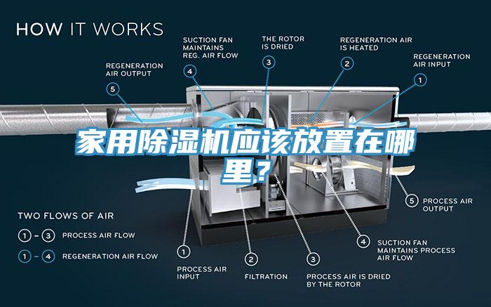 家用蘑菇视频网站應該放置在哪裏？