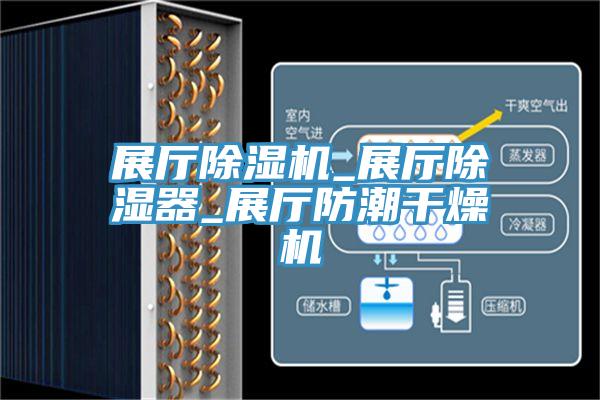 展廳蘑菇视频网站_展廳除濕器_展廳防潮幹燥機