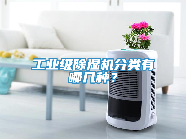 工業級蘑菇视频网站分類有哪幾種？