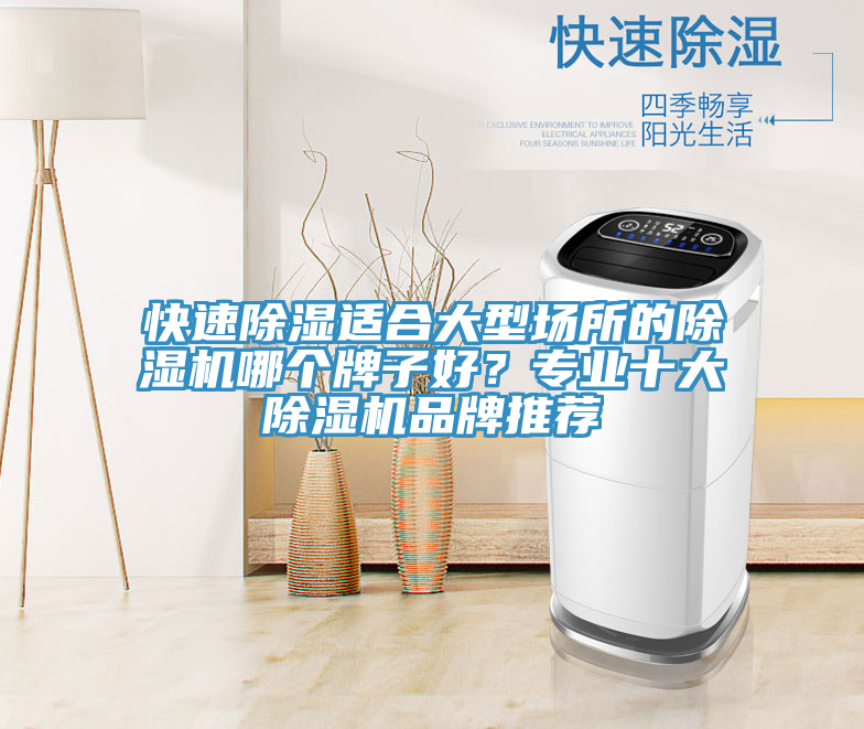 快速除濕適合大型場所的蘑菇视频网站哪個牌子好？專業十大蘑菇视频网站品牌推薦