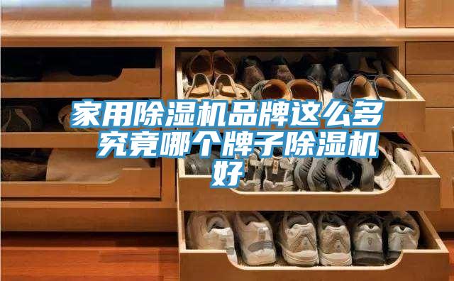家用蘑菇视频网站品牌這麽多 究竟哪個牌子蘑菇视频网站好