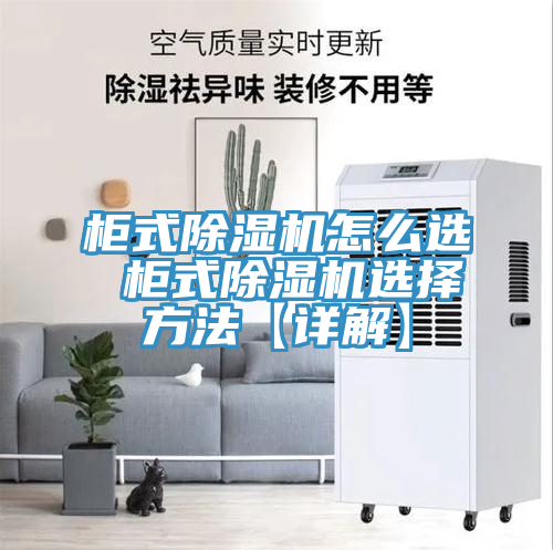 櫃式蘑菇视频网站怎麽選 櫃式蘑菇视频网站選擇方法【詳解】