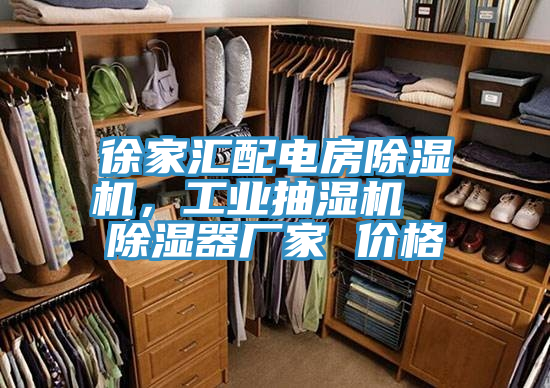 徐家匯配電房蘑菇视频网站，工業抽濕機  除濕器廠家 價格