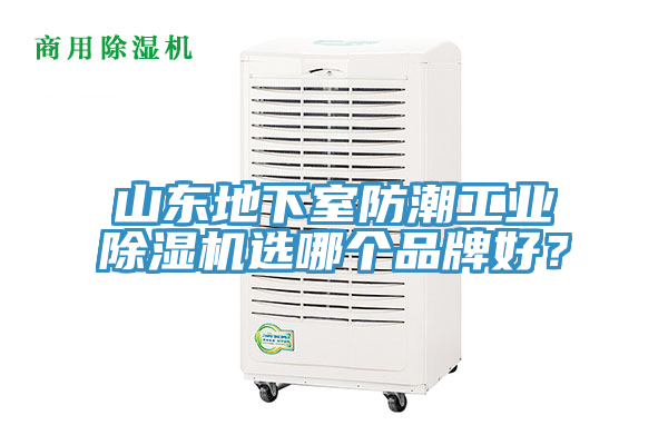山東地下室防潮工業蘑菇视频网站選哪個品牌好？
