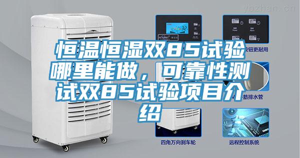 恒溫恒濕雙85試驗哪裏能做，可靠性測試雙85試驗項目介紹