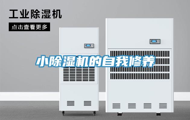 小蘑菇视频网站的自我修養