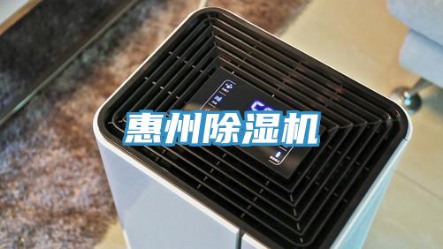 惠州蘑菇视频网站
