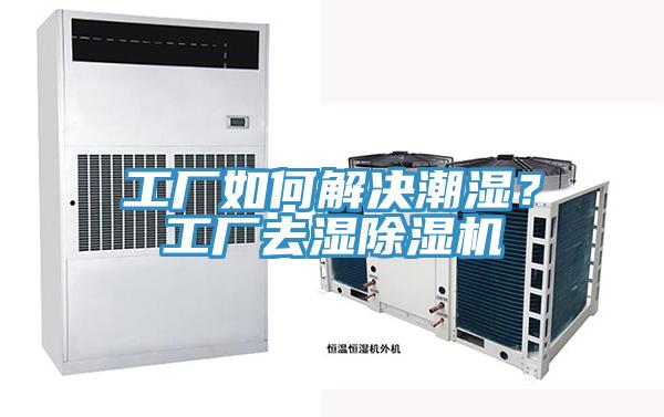工廠如何解決潮濕？工廠去濕蘑菇视频网站