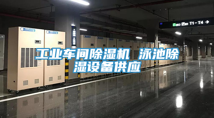 工業車間蘑菇视频网站 泳池除濕設備供應