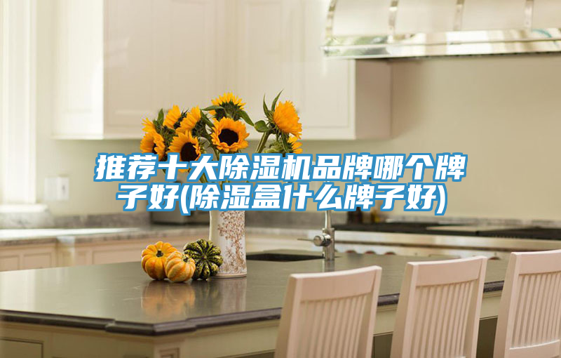 推薦十大蘑菇视频网站品牌哪個牌子好(除濕盒什麽牌子好)