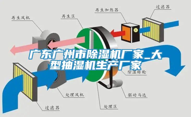 廣東廣州市蘑菇视频网站廠家_大型抽濕機生產廠家