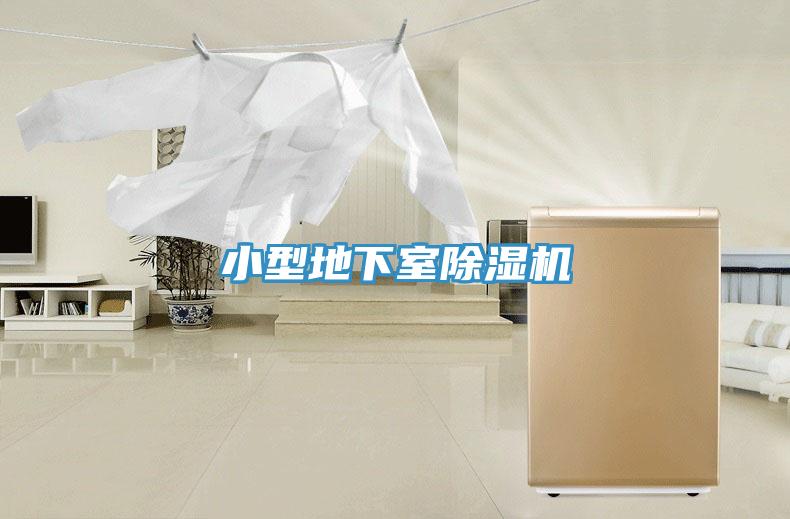小型地下室蘑菇视频网站