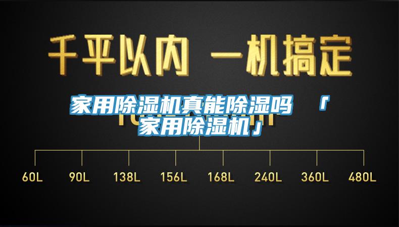 家用蘑菇视频网站真能除濕嗎 「家用蘑菇视频网站」