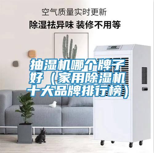 抽濕機哪個牌子好（家用蘑菇视频网站十大品牌排行榜）