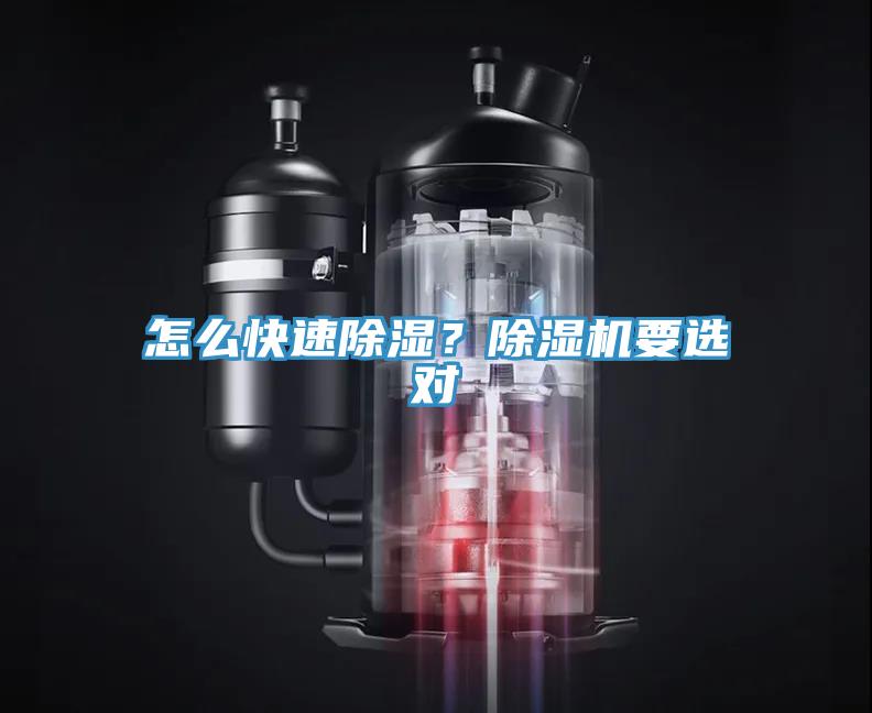 怎麽快速除濕？蘑菇视频网站要選對